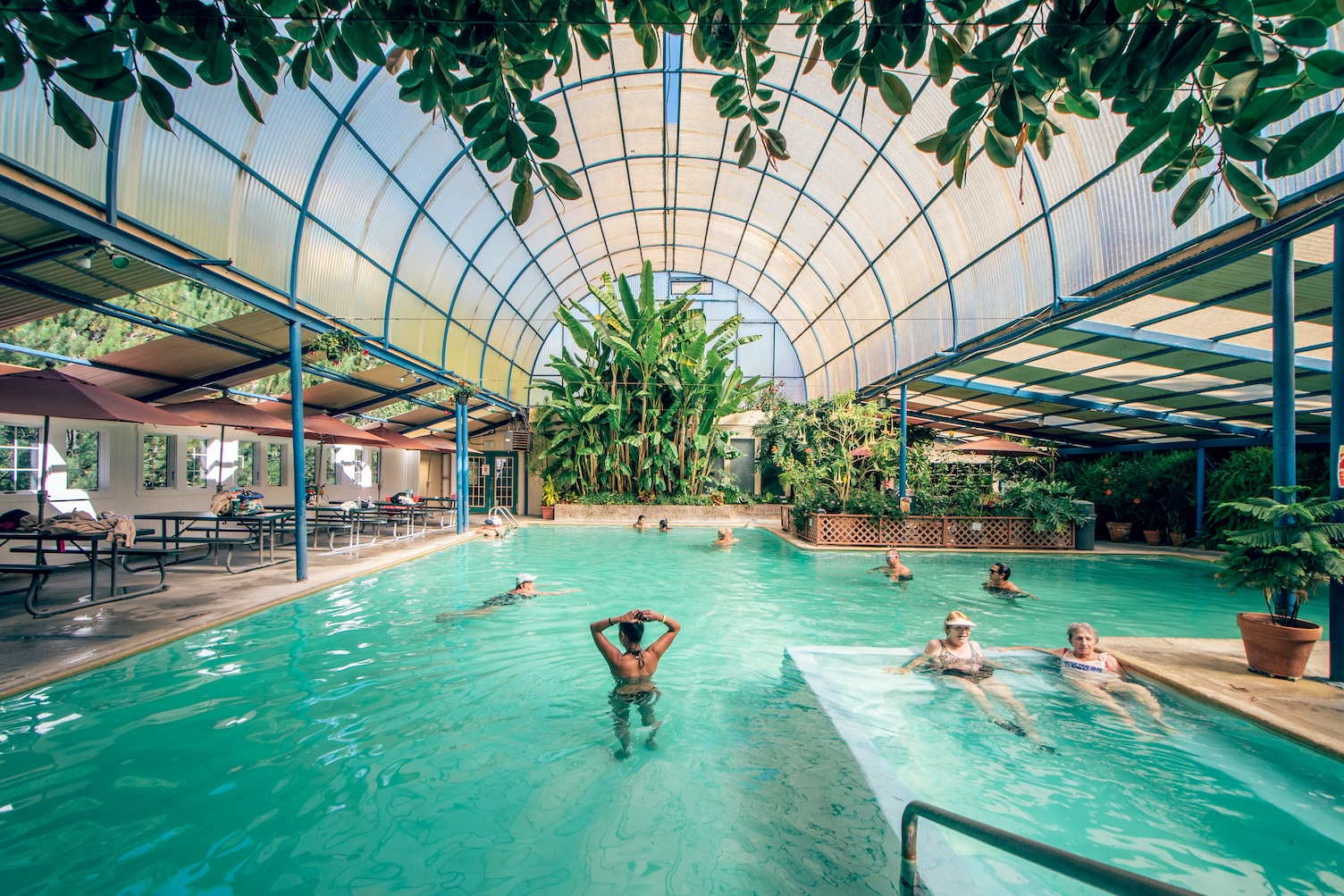 Indoor pool at Indian Hot Springs, beneath an arched translucent roof surrounded by tropical plants